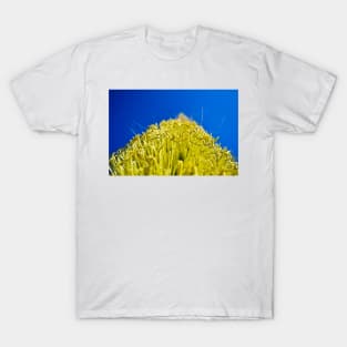 the floral polen in ecopop landscape art in oaxaca T-Shirt